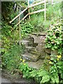 SE0023 : Steps at eastern end of Hebden Royd FP117 by Humphrey Bolton