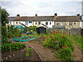 Allotments behind Corporation Road