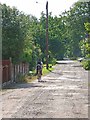 Road in Skellingthorpe Old Wood