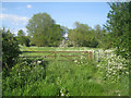 Footpath behind Manor Farm