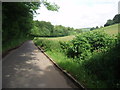 Chiltern minor road in early summer