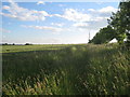 Field boundary off Ellmore Lane