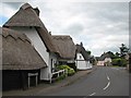 Cottenham: Old Thatch and other old thatched houses