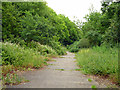 Abandoned road