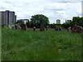 Sighthill Park stone circle