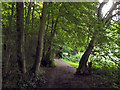 Shady footpath, Walderslade