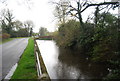 Pond, Ivelle Farm