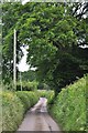 North Devon : Country Road