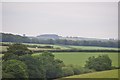 Mid Devon : Grassy Fields & Countryside