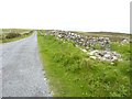 NR2566 : Road near Culbuie, Islay by Becky Williamson