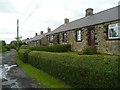 Stone cottages in Garden Terrace, Shilbottle