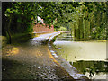 Towpath, Manchester, Bolton and Bury Canal