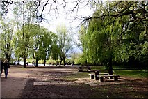 SU7871 : Picnic Area in Dinton Pastures Country Park by Steve Daniels