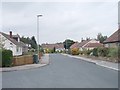 Glenmere Mount - viewed from Sunnybank Crescent 