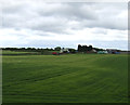 Farmland, Bothal Park