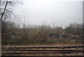 Sidings, Robertsbridge Station