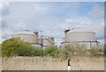 Grain LNG storage tanks