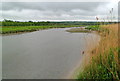 River Towy downstream from Carmarthen