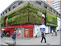 Green wall, Sutton town centre