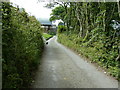 Cat guarding farm at Glandwr-Ceibwr