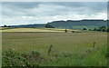 Upland meadows north of Ashover