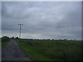 Dengie Marsh along Bridgewick Road