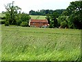 Wheatfield and house near Guthorpe