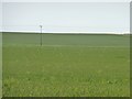 TA1474 : Large barley field on a windy day by Christine Johnstone