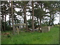 Caravan in the woods near The Oatlands