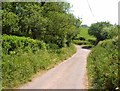 Lane near Well Farm