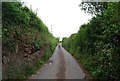 Narrow Devon Lane