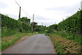 Lane out of Slapton