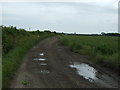 Track to Barn Lodge Farm