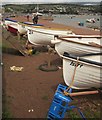 Boats at Shaldon