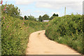 SX1359 : Lane to Badoe Farm by roger geach