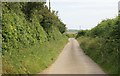 SX1358 : Cornish lane leading towards Lerryn by roger geach
