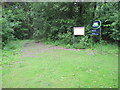 Footpath into Botley Wood