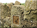 Downshire estate boundary post near Moira