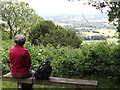 Viewpoint on the Brockham Hills