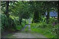 ST1117 : Taunton Deane : Green Lane by Lewis Clarke