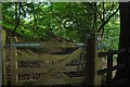 ST1117 : Taunton Deane : Sampford Common Footpath & Gate by Lewis Clarke