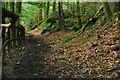 ST1117 : Taunton Deane : Sampford Common Footpath by Lewis Clarke