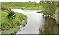 The River Lagan near The Maze, Lisburn