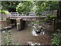 River Mole Footbridge