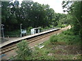 Doleham railway station