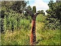 TQ5810 : National Cycle Network marker - Cuckoo Trail by Paul Gillett