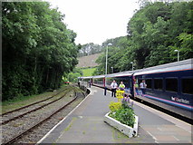 SX1164 : Bodmin Parkway Railway Station by Roy Hughes