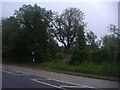 Bus stop on the A3090, Pitt