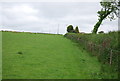 Footpath follows the hedge