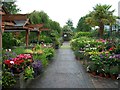 Annetts Garden Centre, Rath Road, Warrenpoint